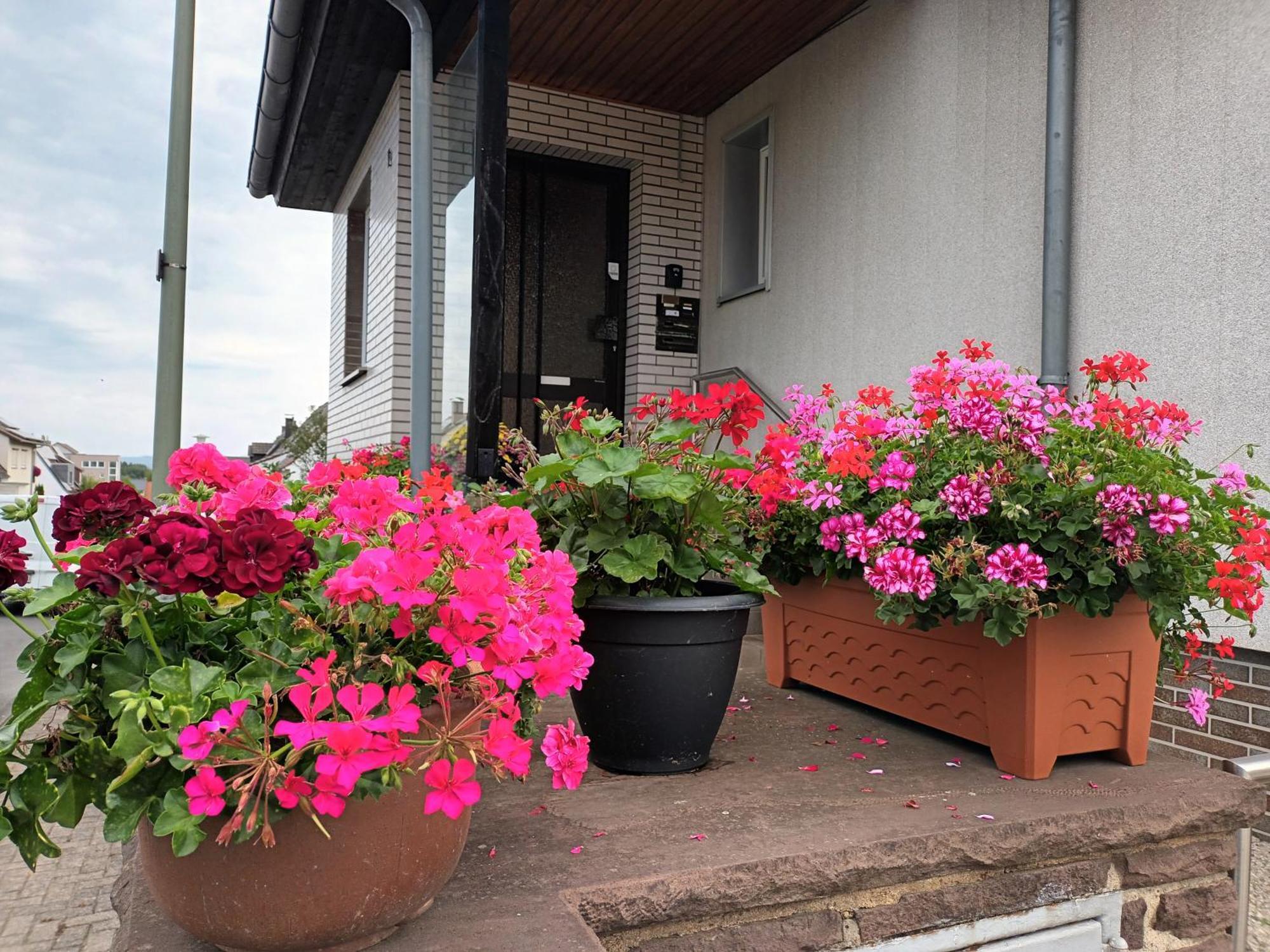 Ferienwohnung Kassel Zewnętrze zdjęcie